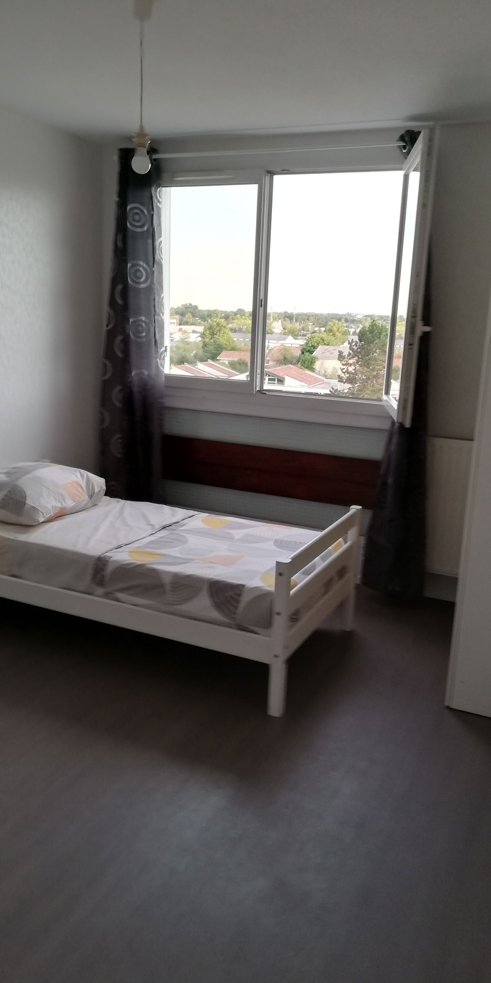 Kolokasie Talence 243616