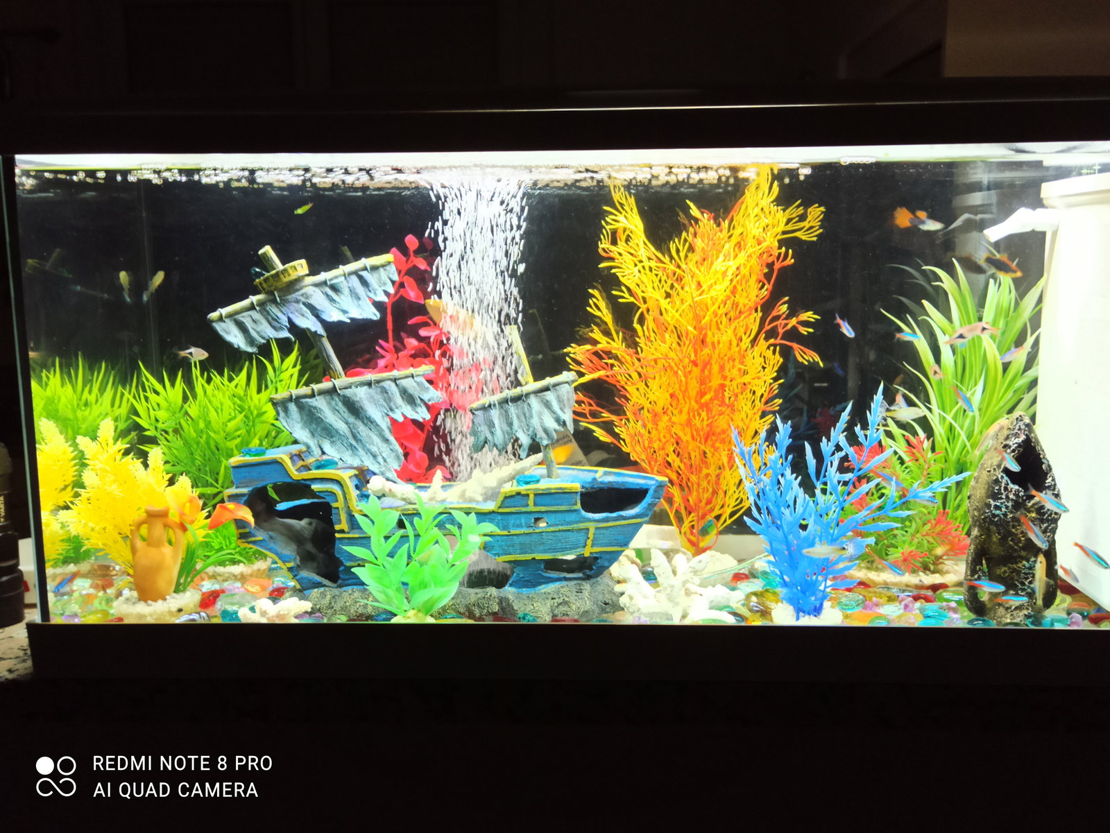 Tuisverblyf Montlieu-la-Garde 486166