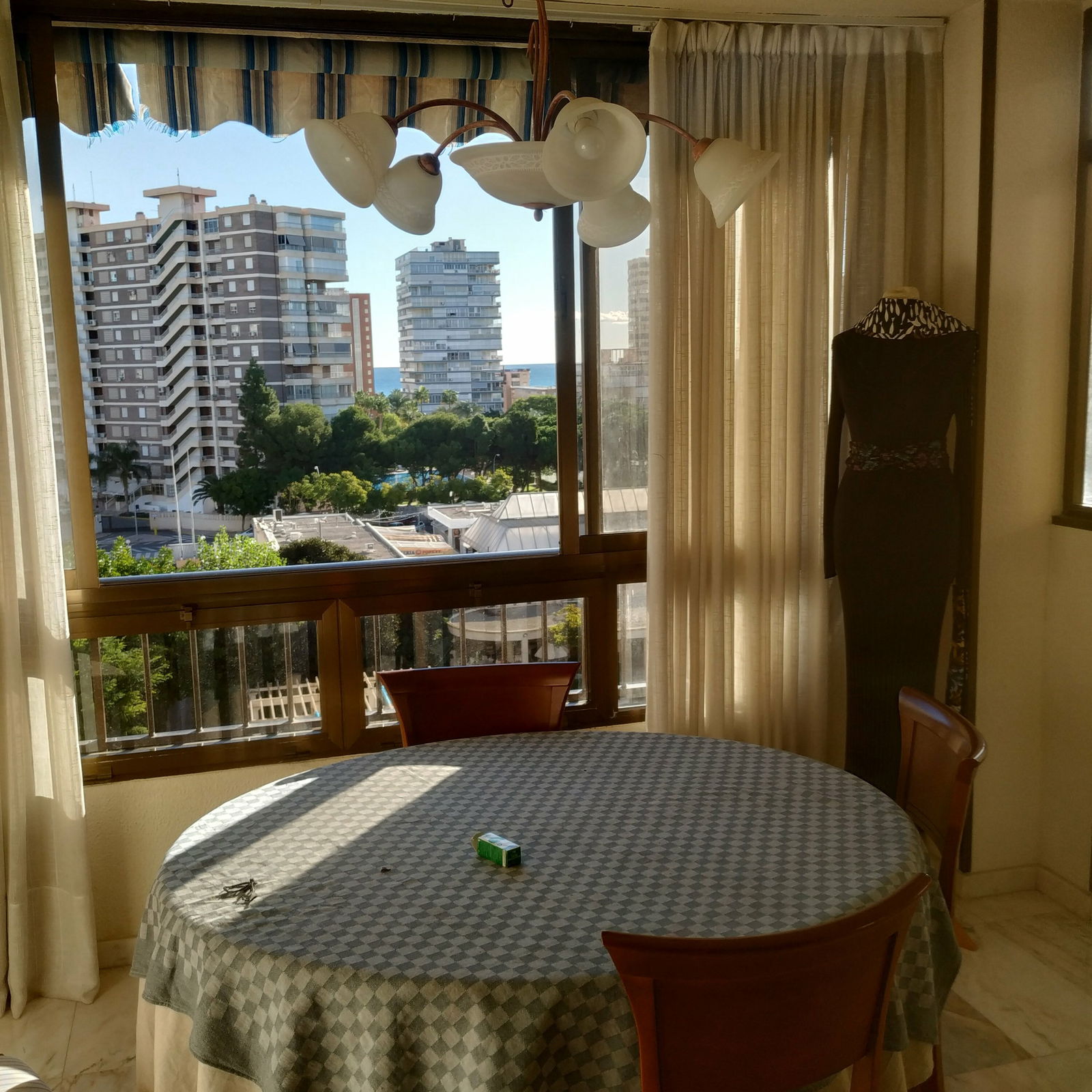 Gastgezin Alicante (Alacant) 254106