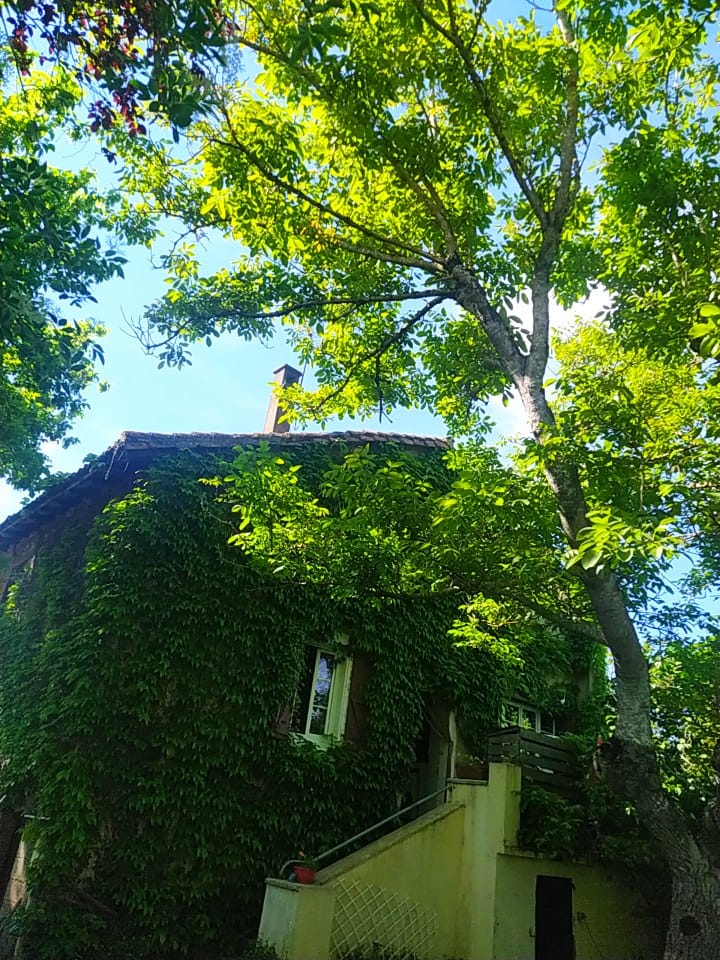 Tuisverblyf Saint-Céré 478901