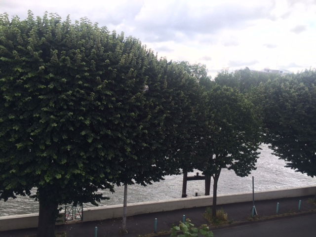 Tuisverblyf L'Île-Saint-Denis 139117