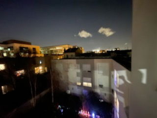 Kolokasie Vincennes 254961