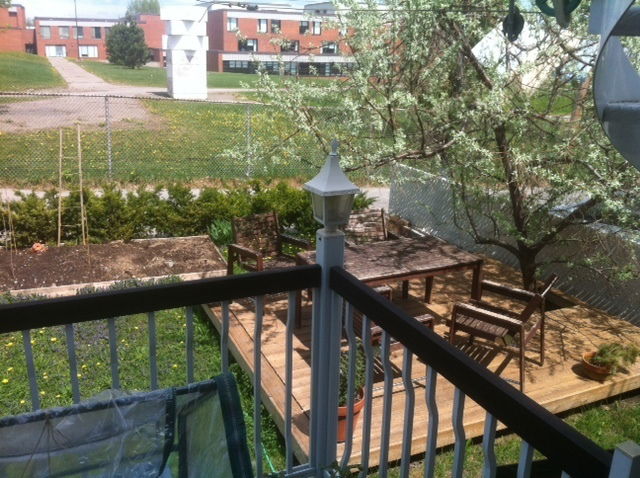 Colocatie Montréal 33646