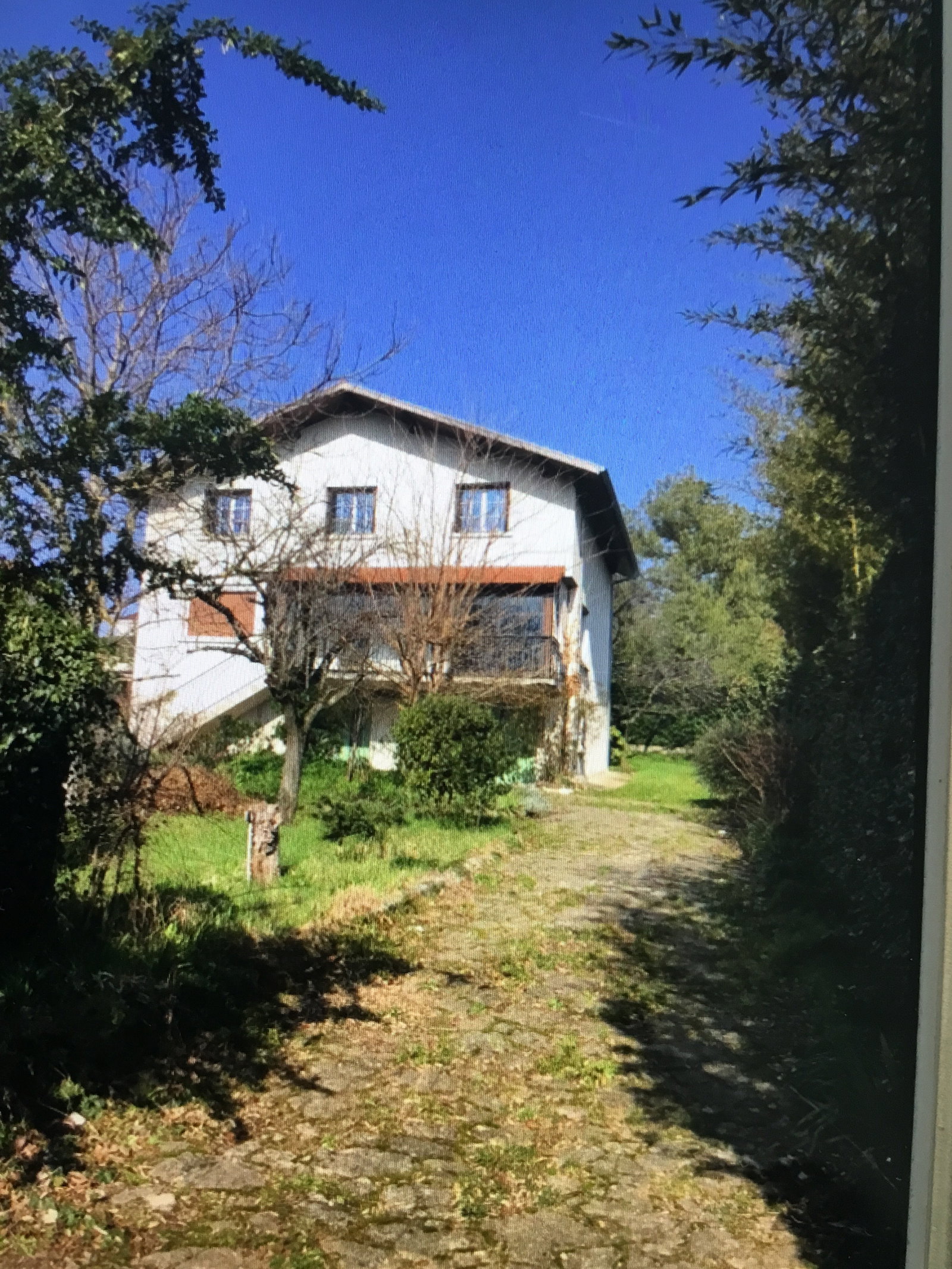 Homestay Charly 418946
