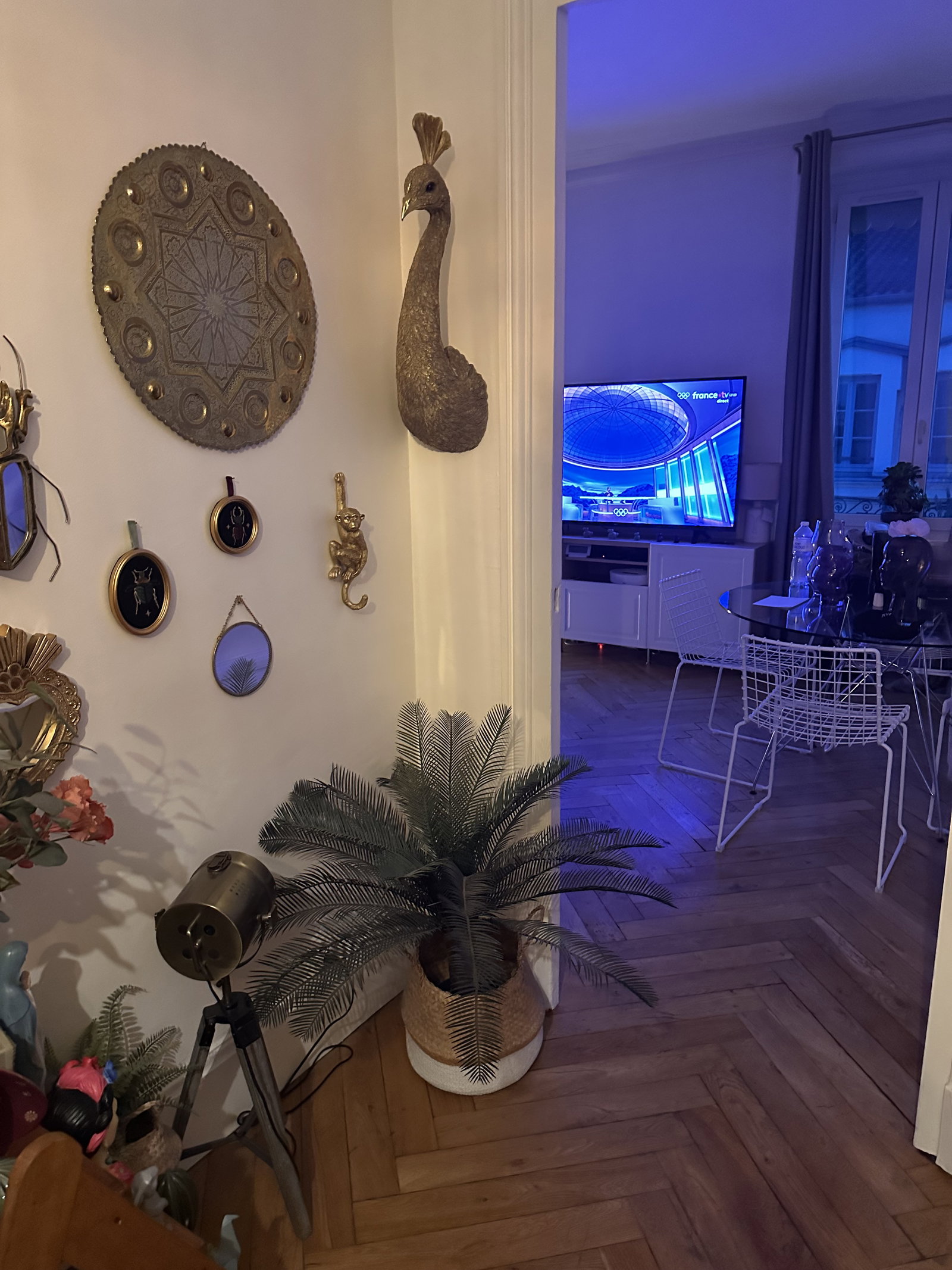 Homestay Lyon 667139
