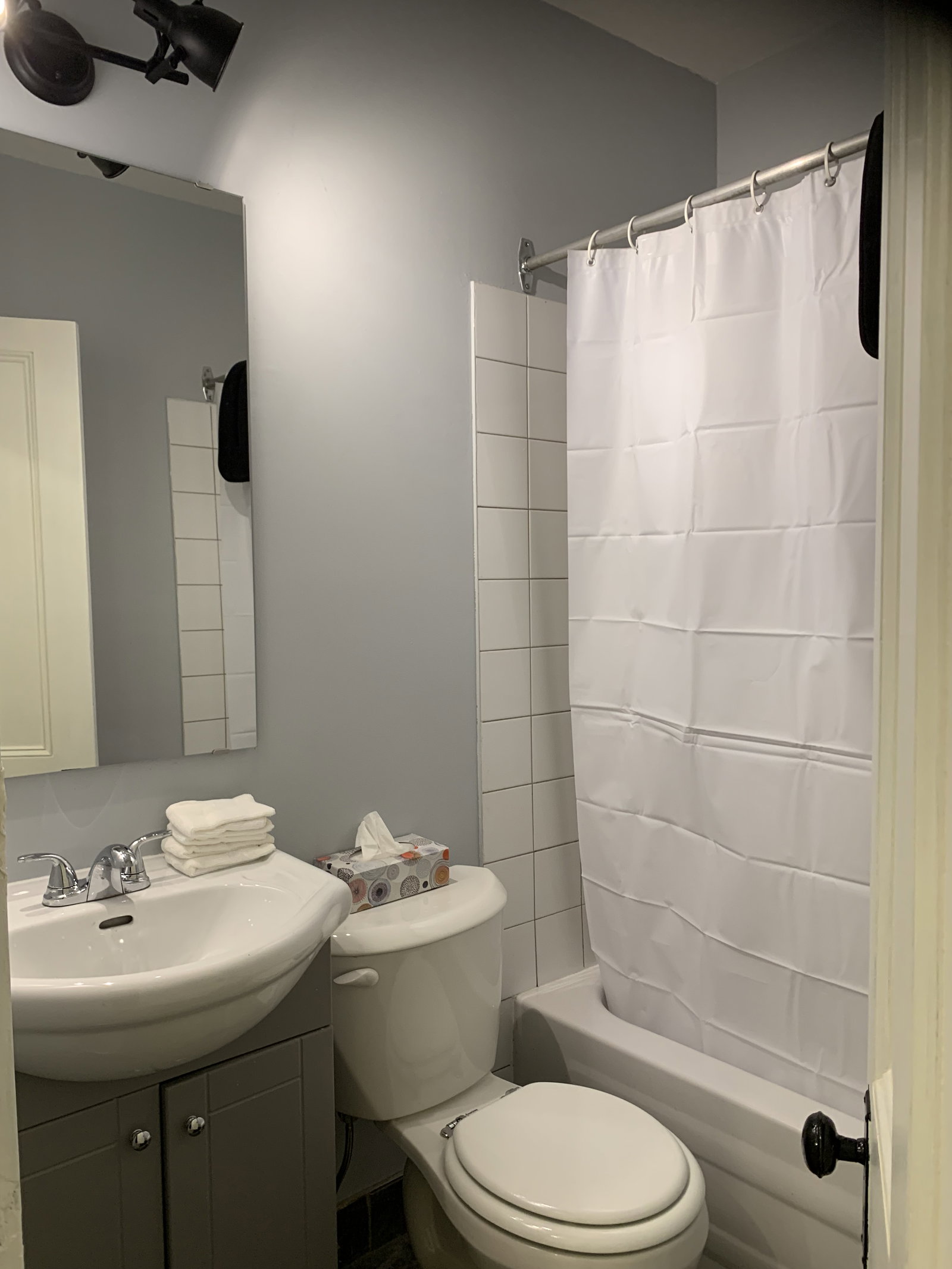 Kolokasie Sherbrooke 662386