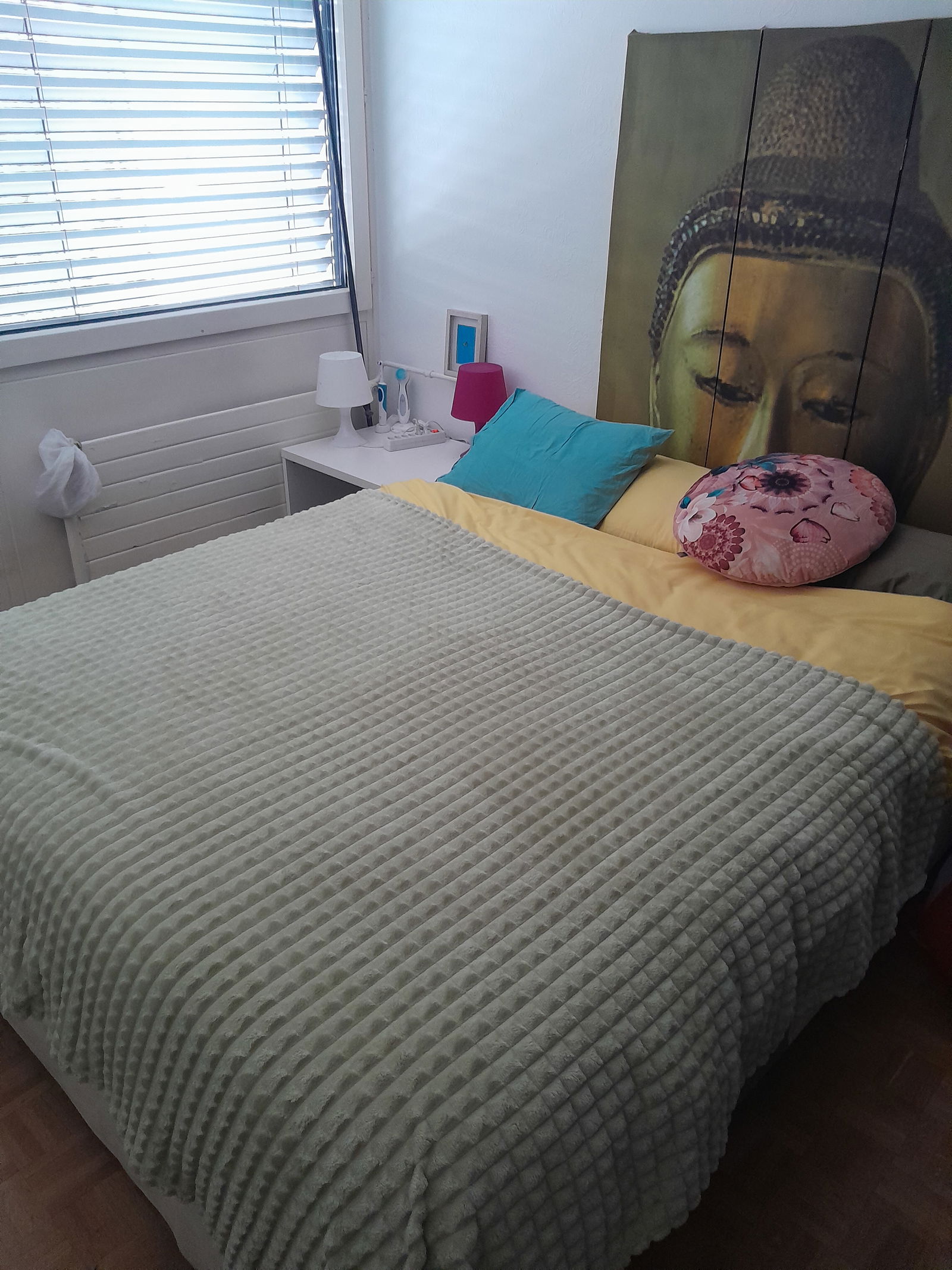 Colocatie Carouge 233432