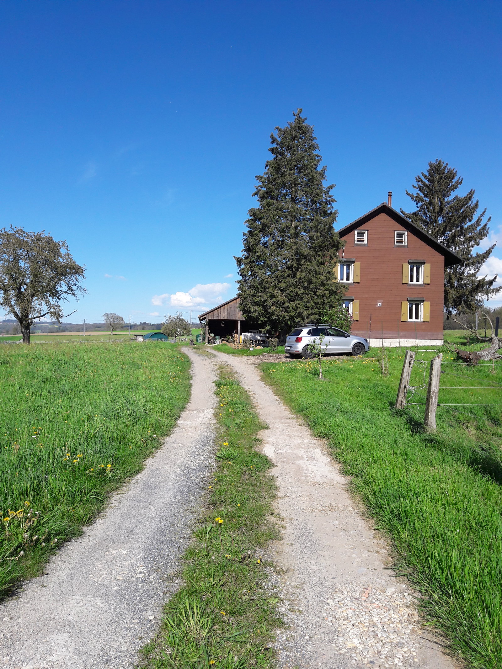 Colocatie Fey 659785