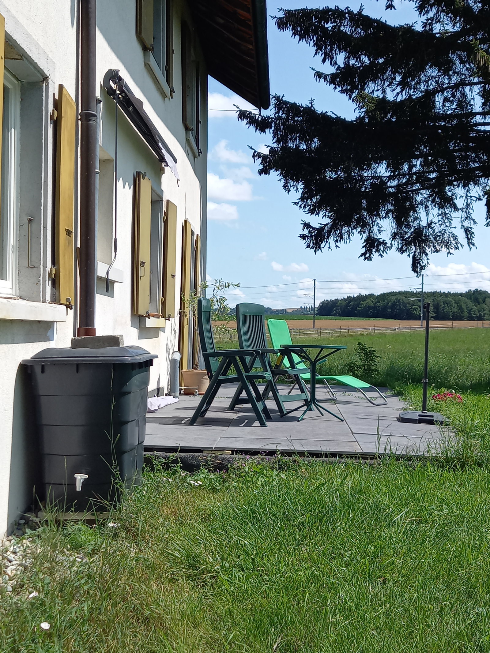 Colocatie Fey 659785