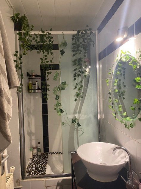 Colocatie Toulouse 647964