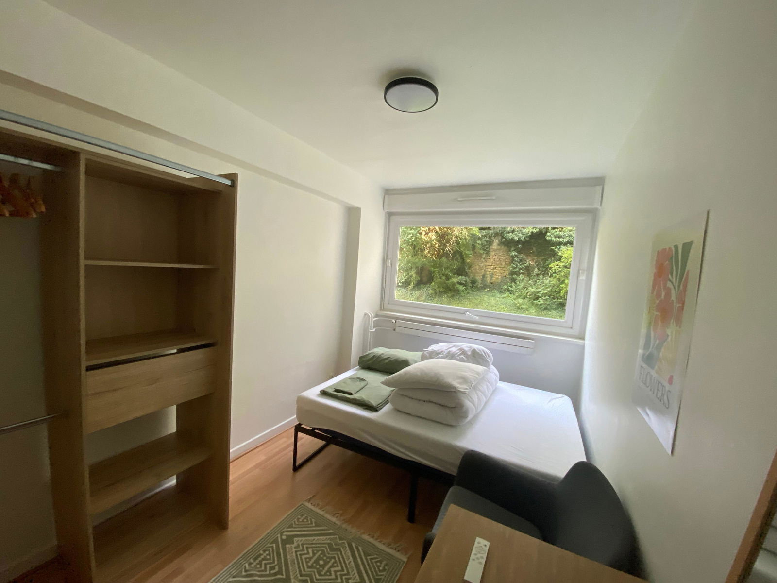 Colocatie Nancy 658984