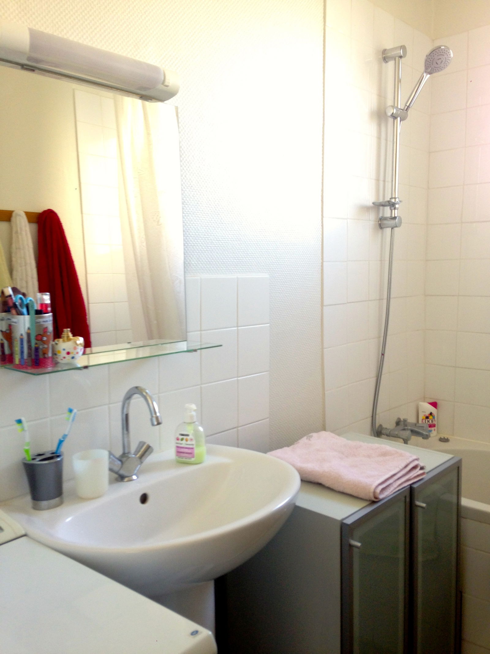 Colocatie Lyon 170136