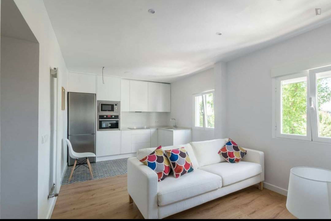 Colocatie Madrid 246287