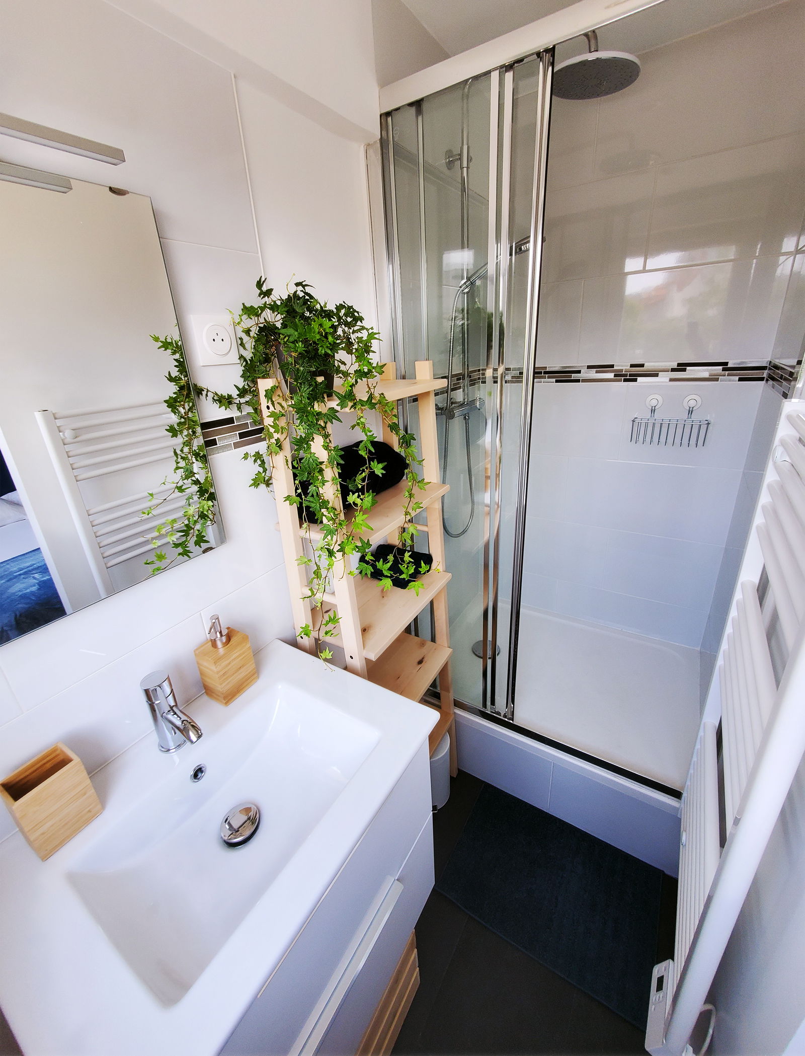 Colocatie Romainville 241105