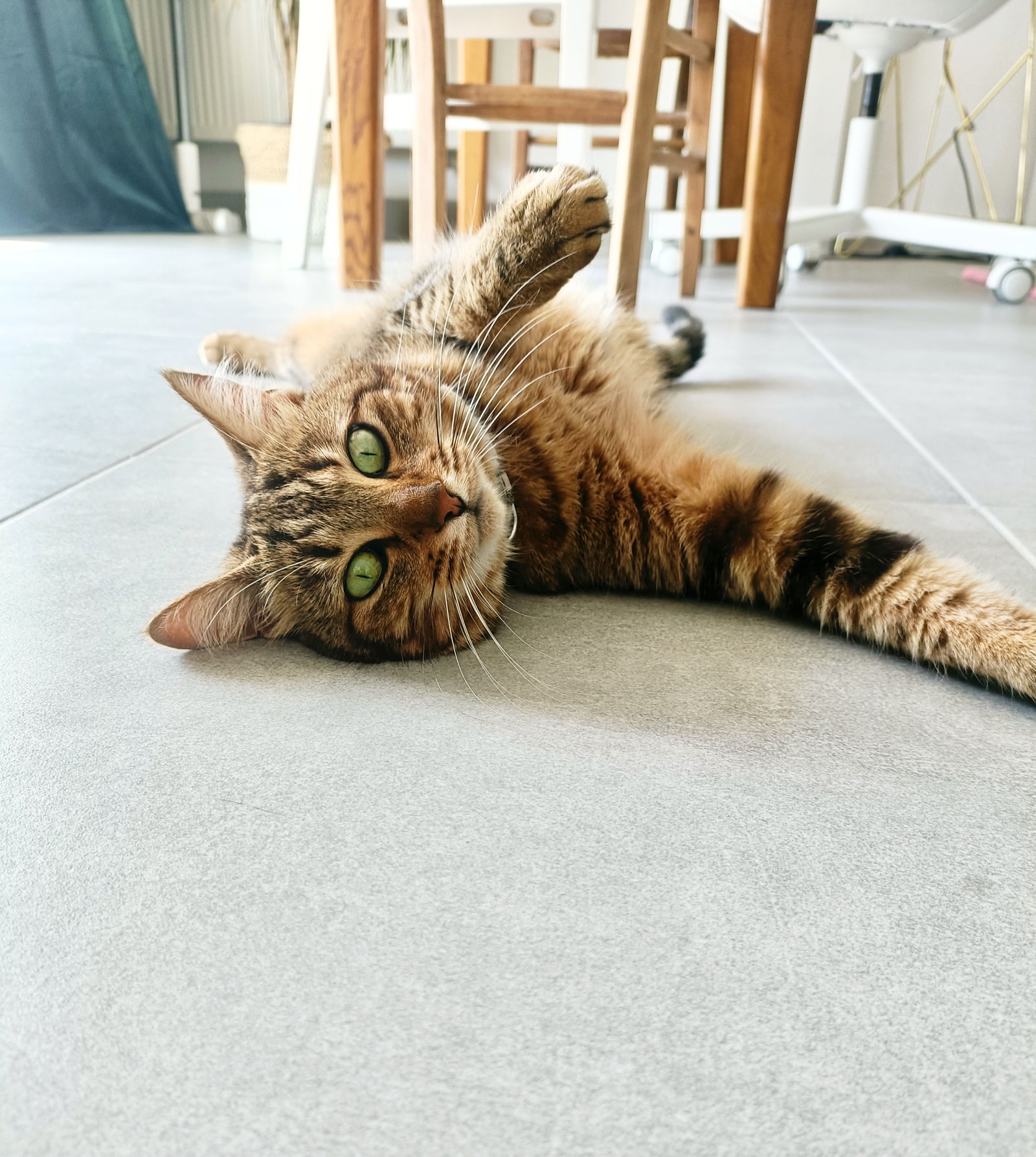 Gastenkamers Boucau 633401