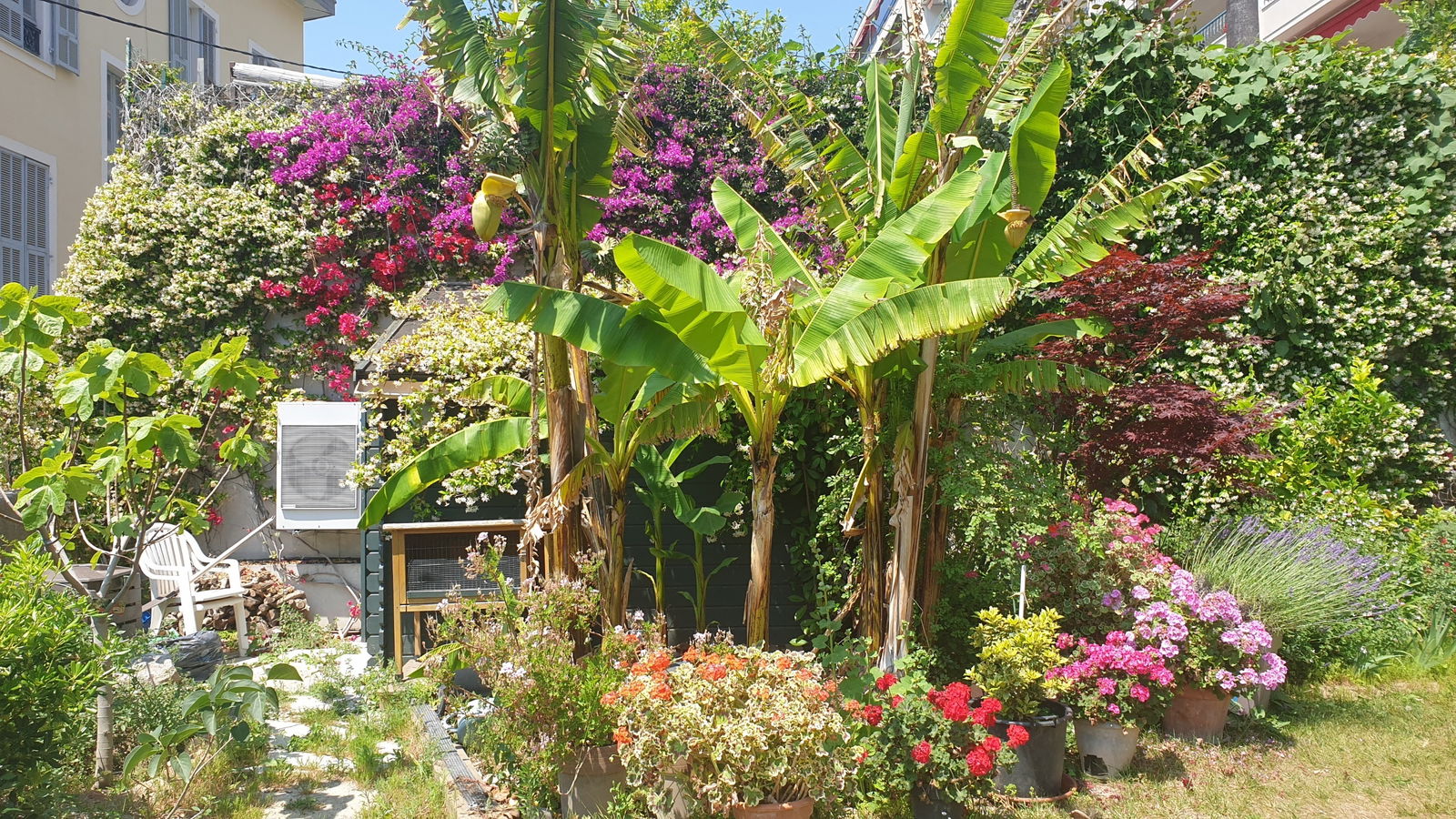 Gastgezin Nice 241013