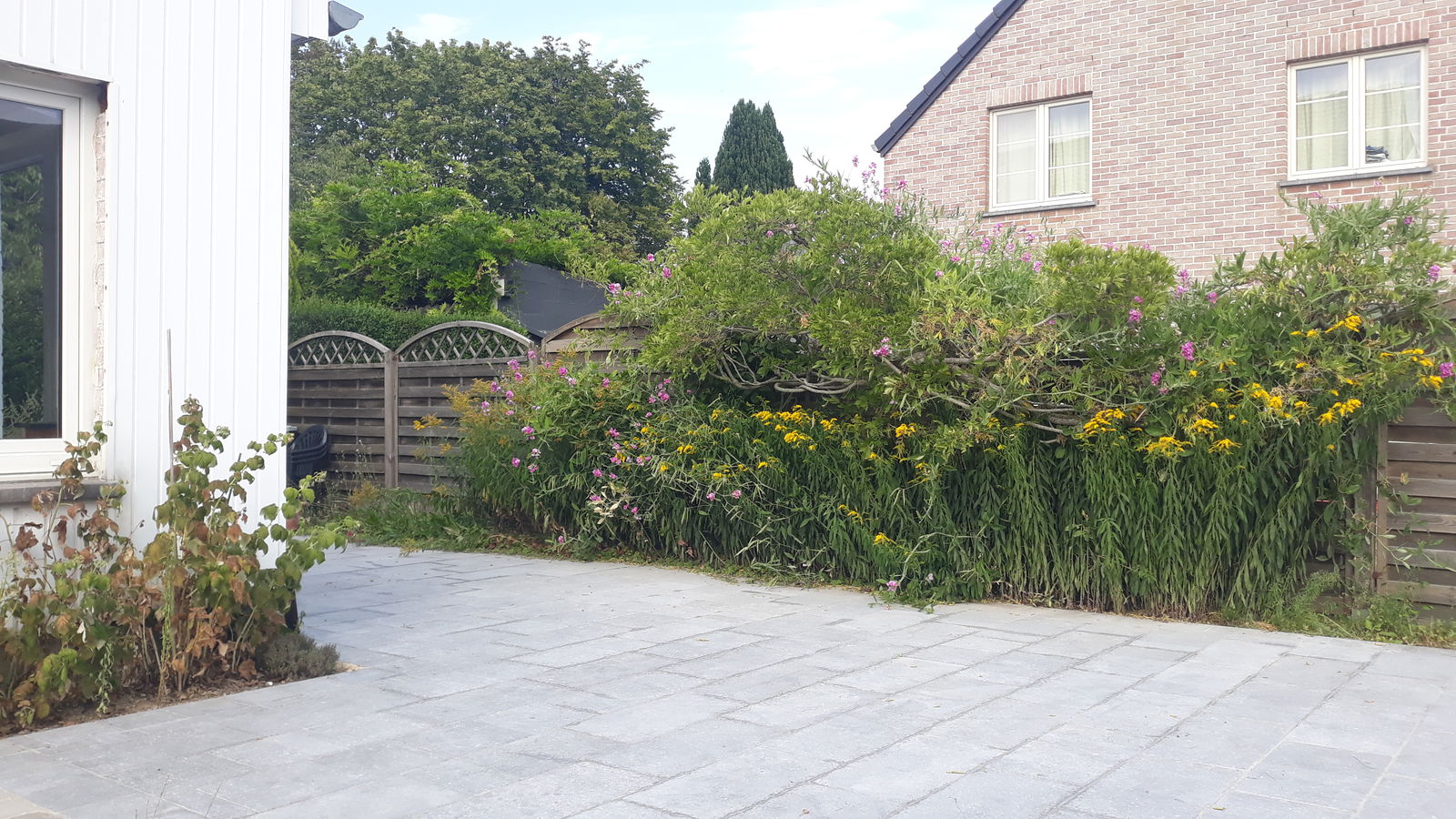 Colocatie Nivelles 658035