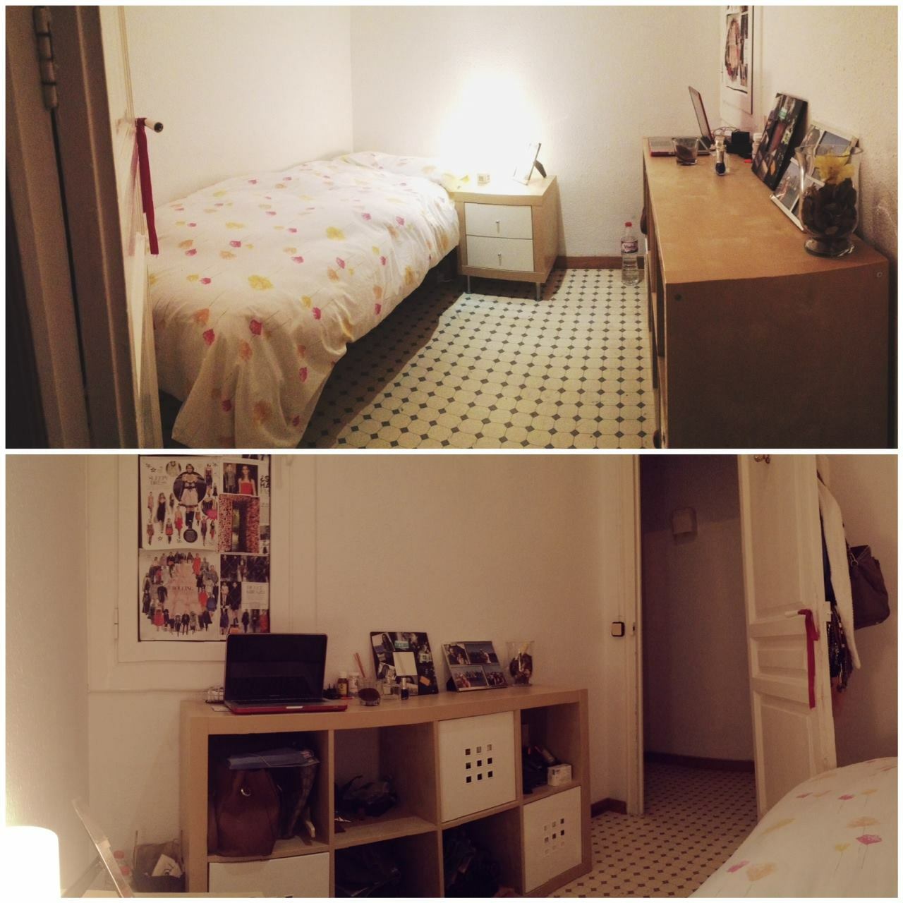 Kolokasie Barcelona 95185