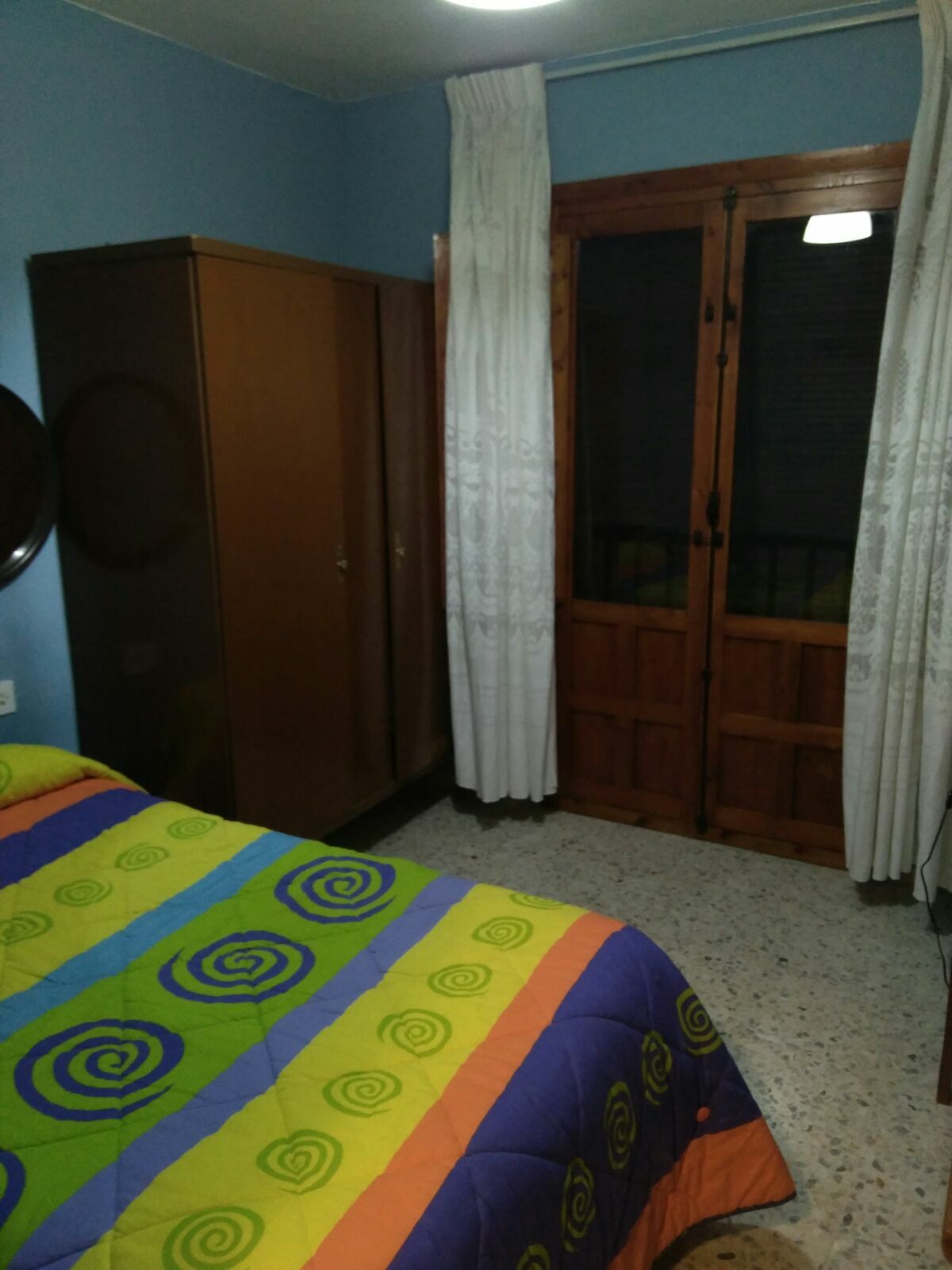 Kolokasie Granada 162534