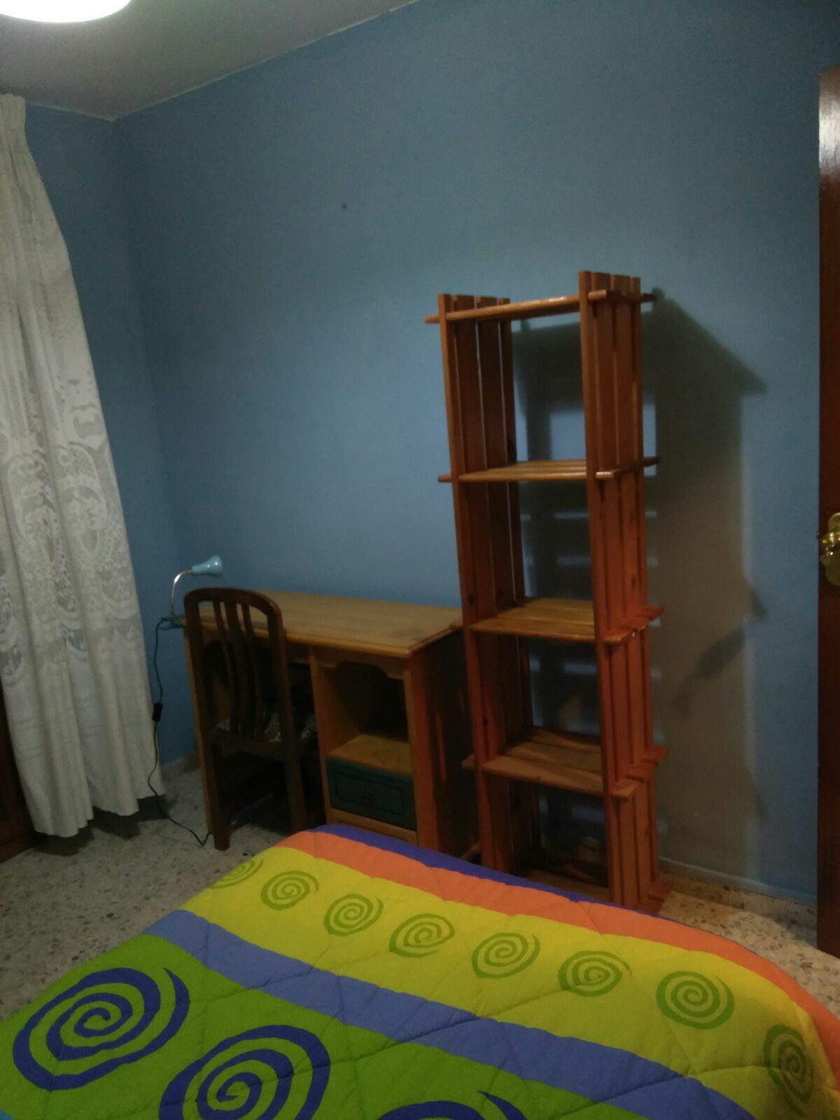 Kolokasie Granada 162534