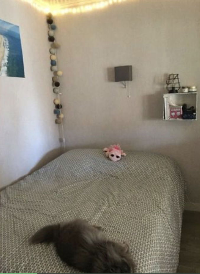 Colocatie Argenteuil 238819