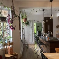 Colocatie Montréal 549845