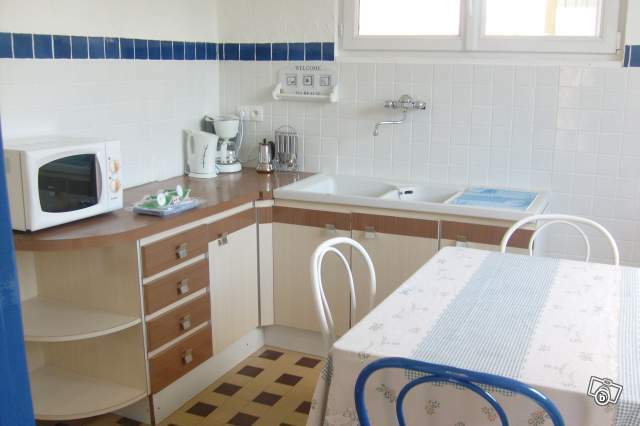 Kolokasie Eybens 2198