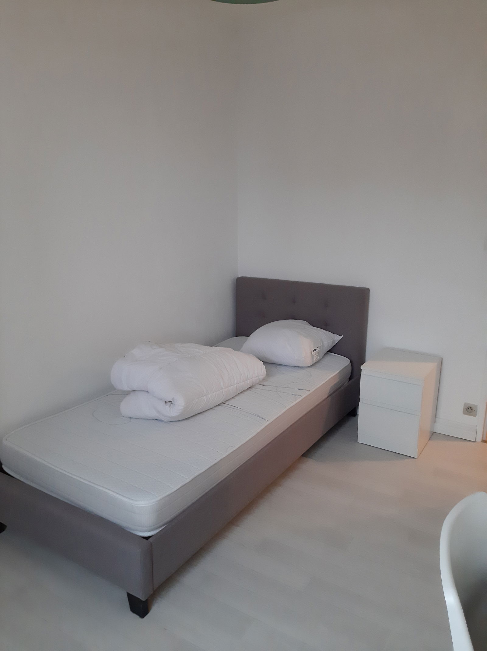 Kolokasie Orléans 247846