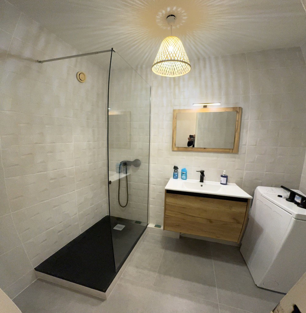 Kolokasie Nice 484256