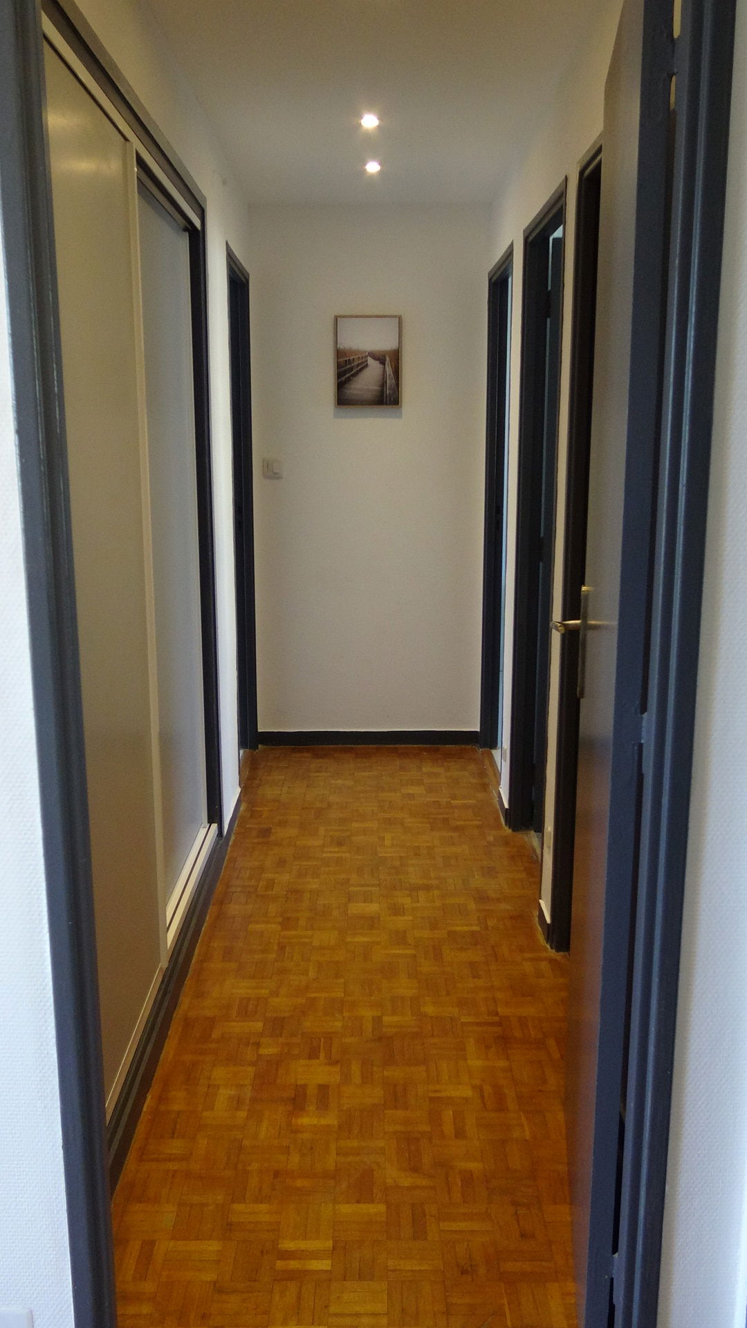 Kolokasie Toulouse 496617