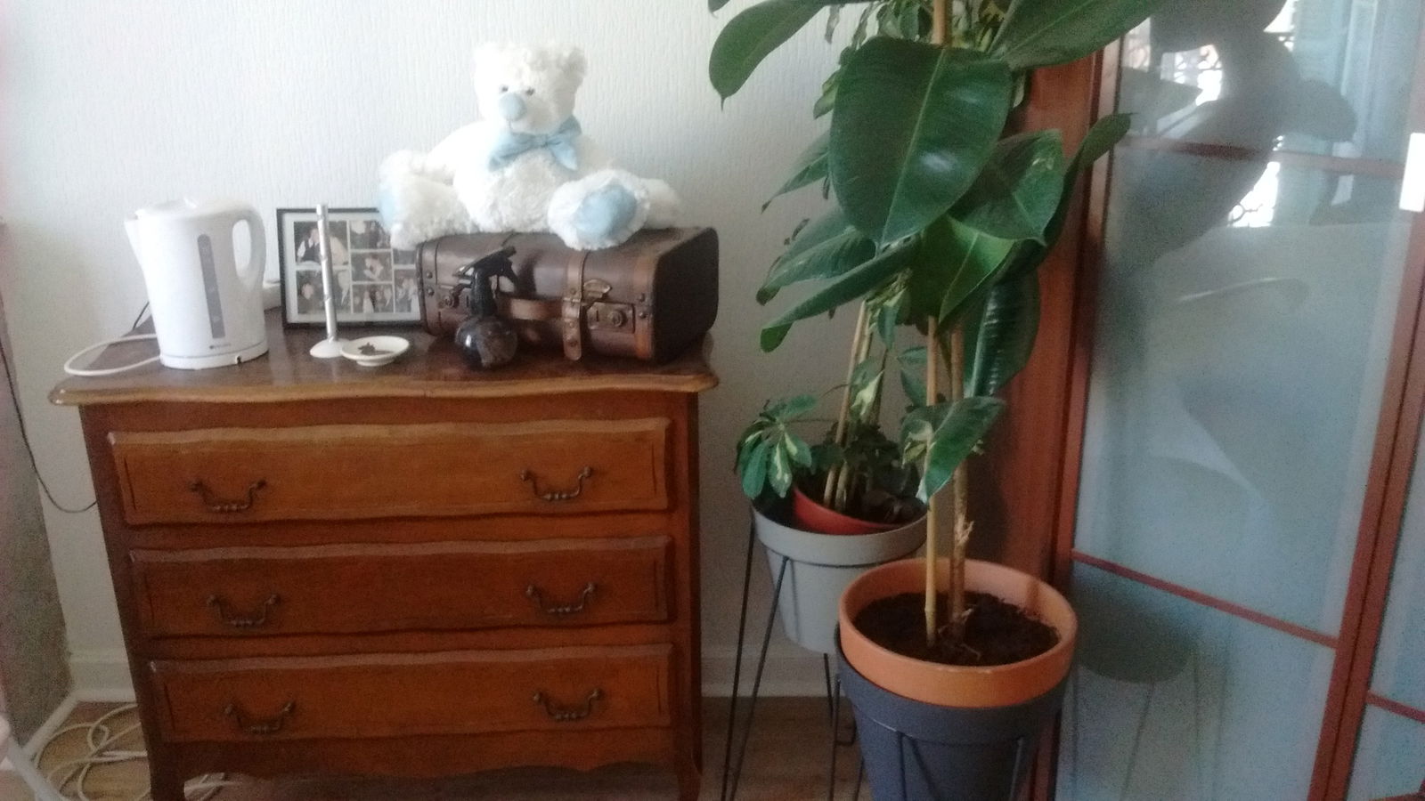 Gastgezin Antibes 138814