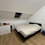 Kolokasie Arlon 658389