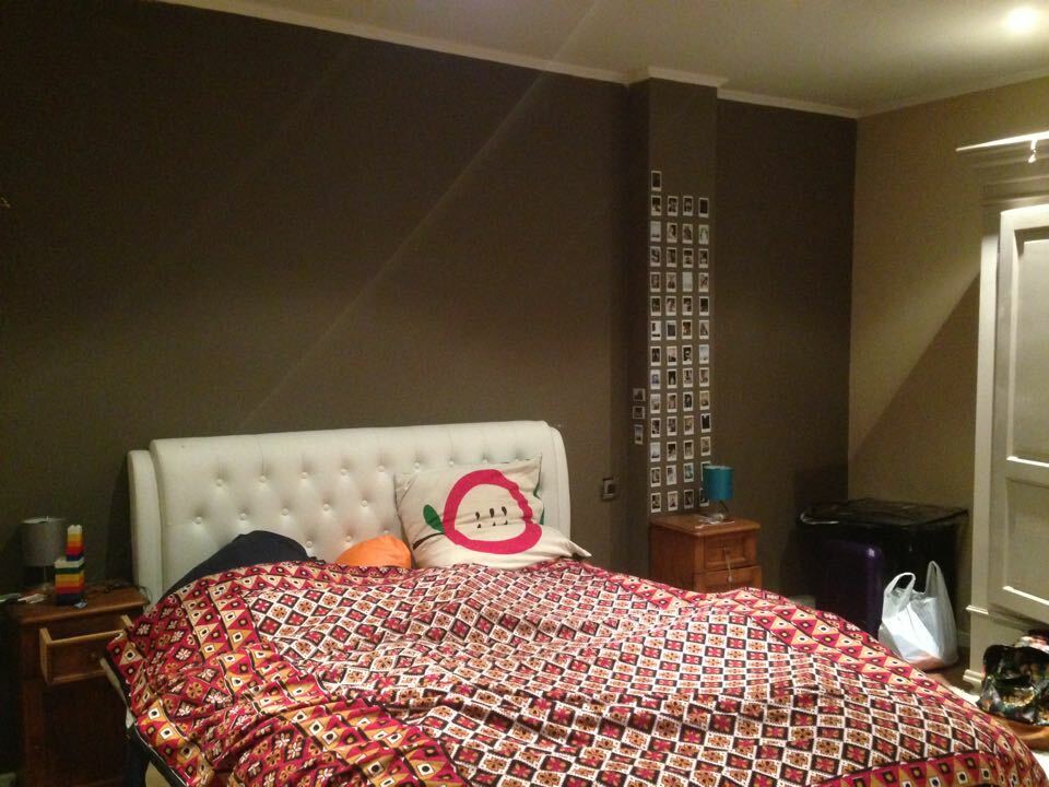 Kolokasie Bruxelles 120143