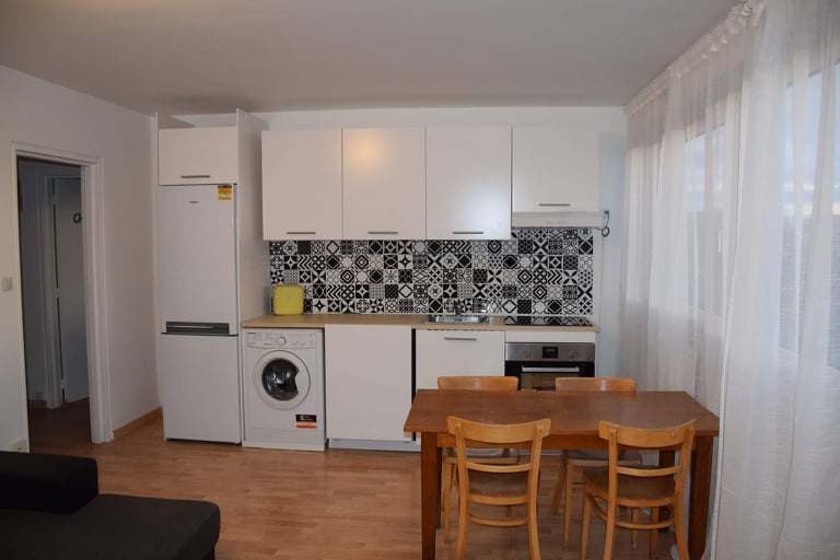 Kolokasie Cergy 634599