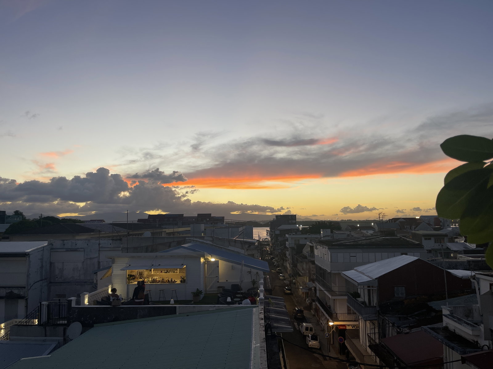 Kolokasie Pointe-à-Pitre 660835