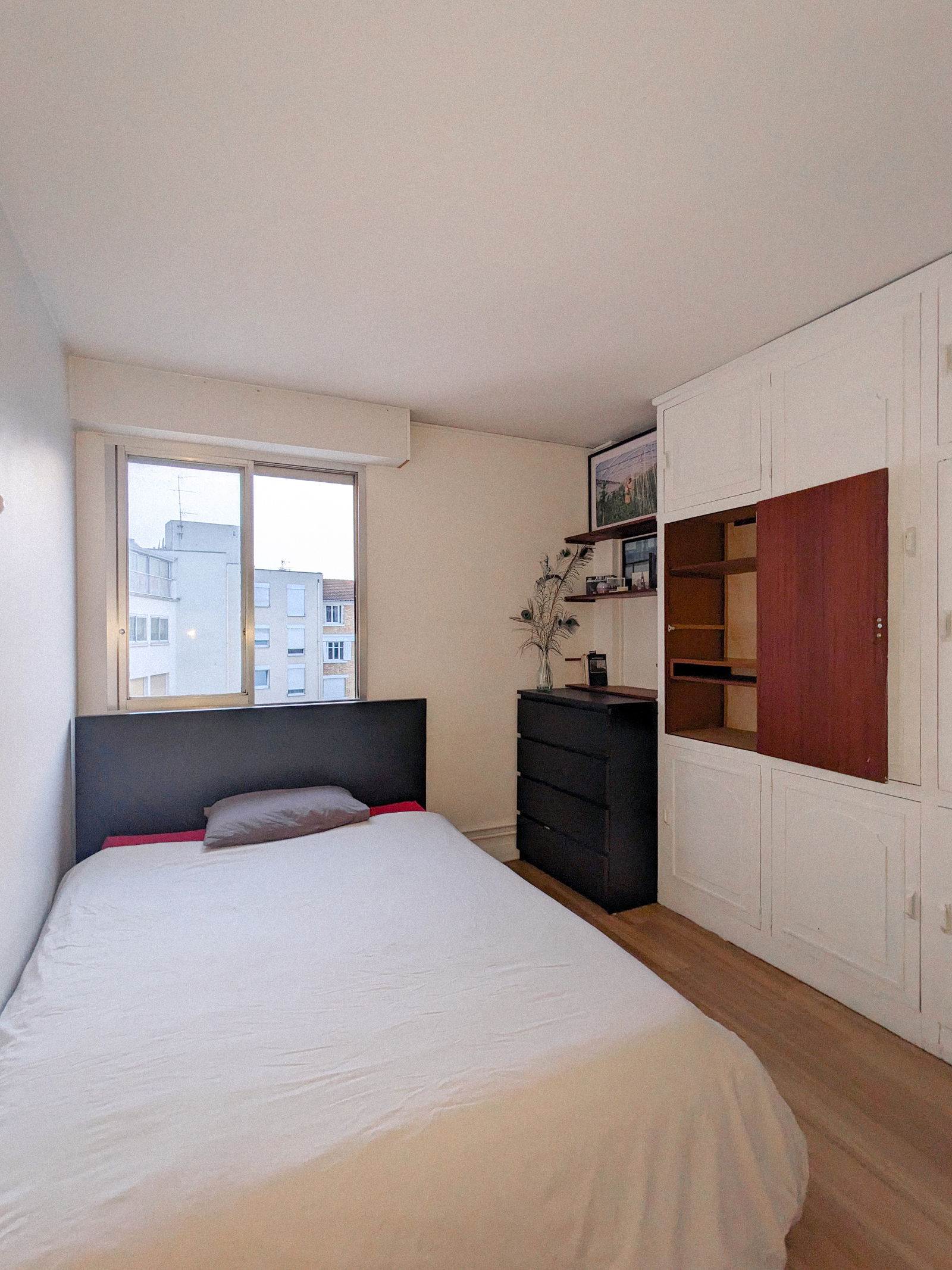 Kolokasie Le Kremlin-Bicêtre 419144