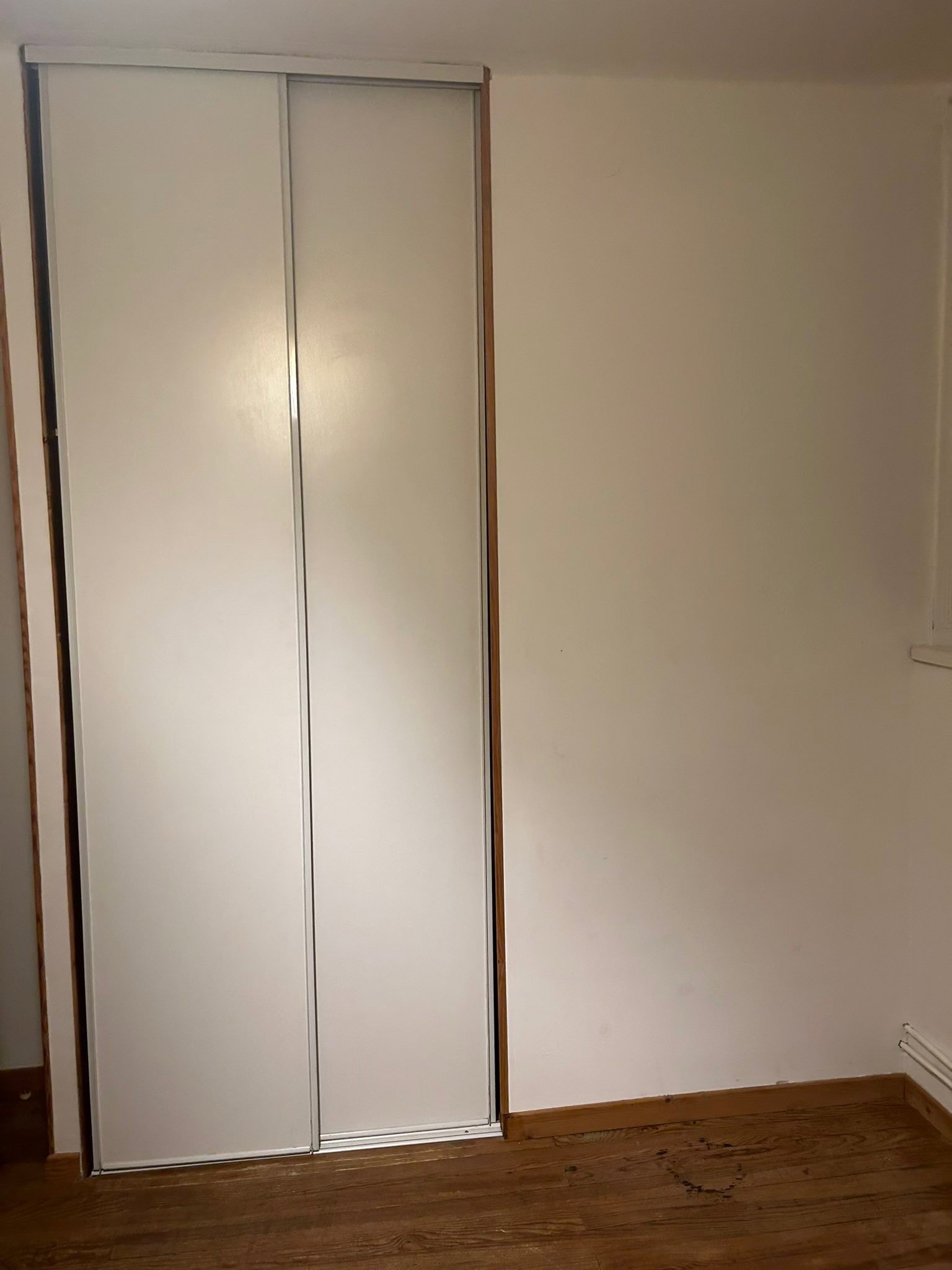 Kolokasie Toulouse 647964