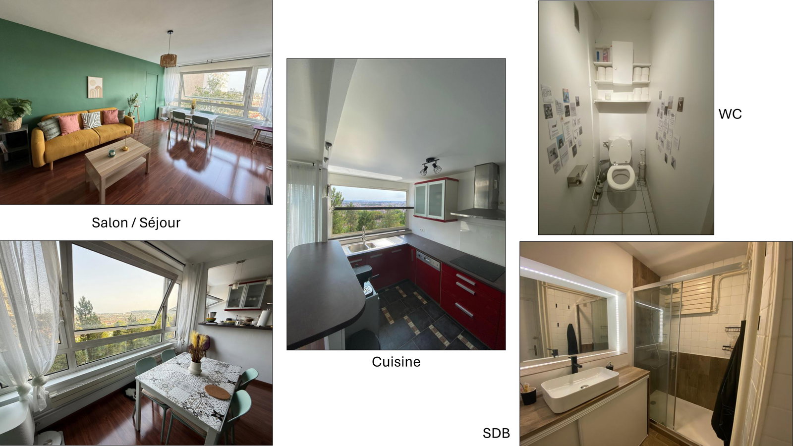 Kolokasie Nancy 658984