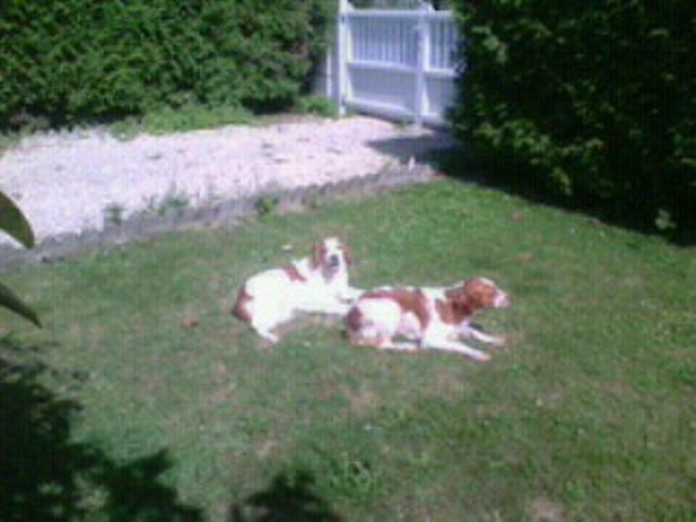 Tuisverblyf Bétheny 133062