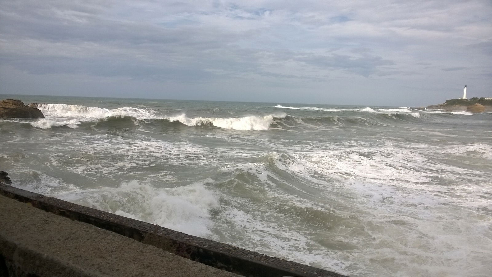 Kolokasie Biarritz 134331