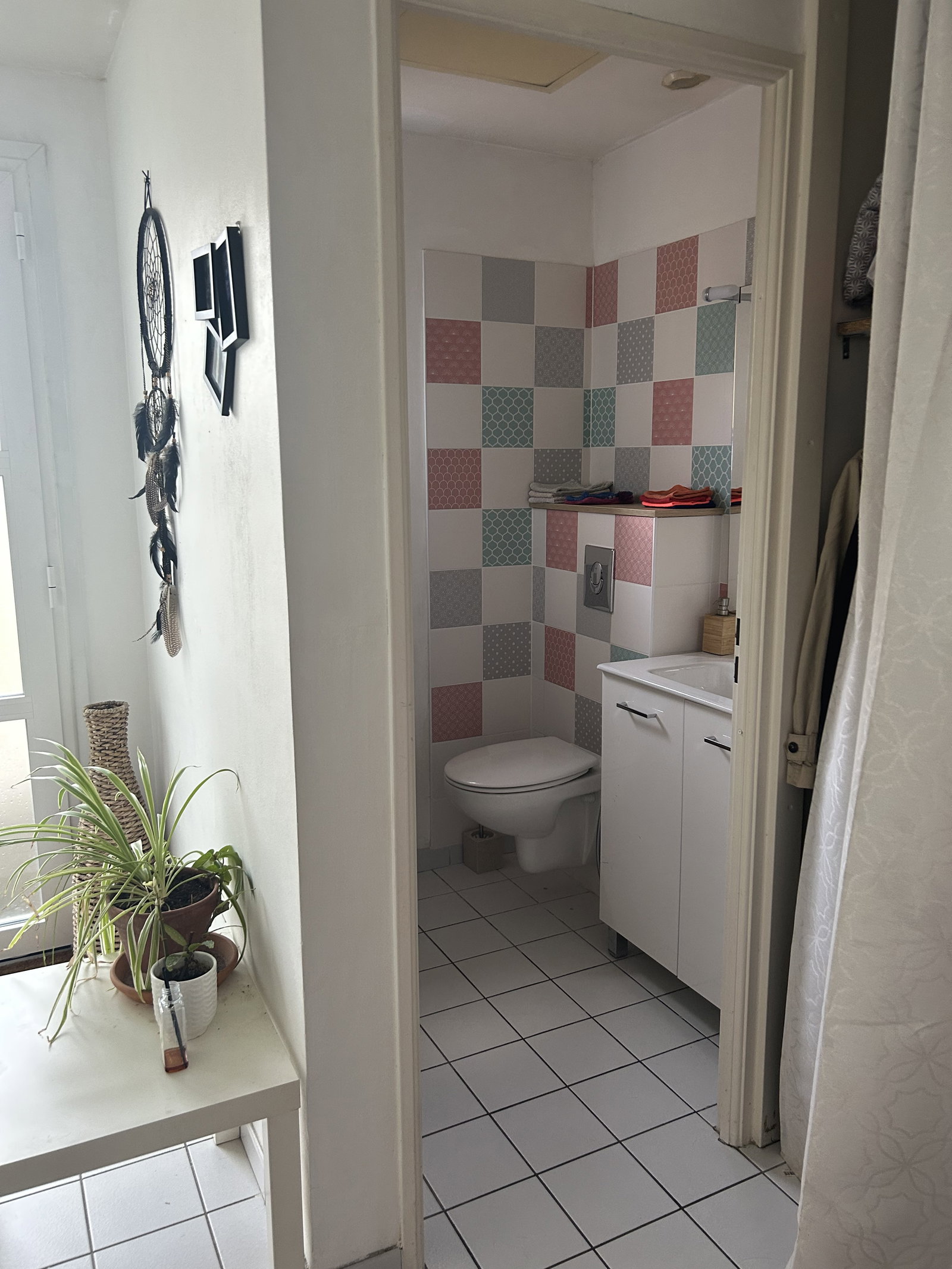 Kolokasie Saint-Avé 512009