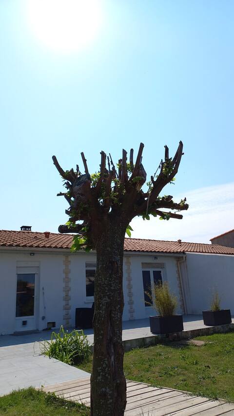 Tuisverblyf Saint-Ouen-d'Aunis 451301