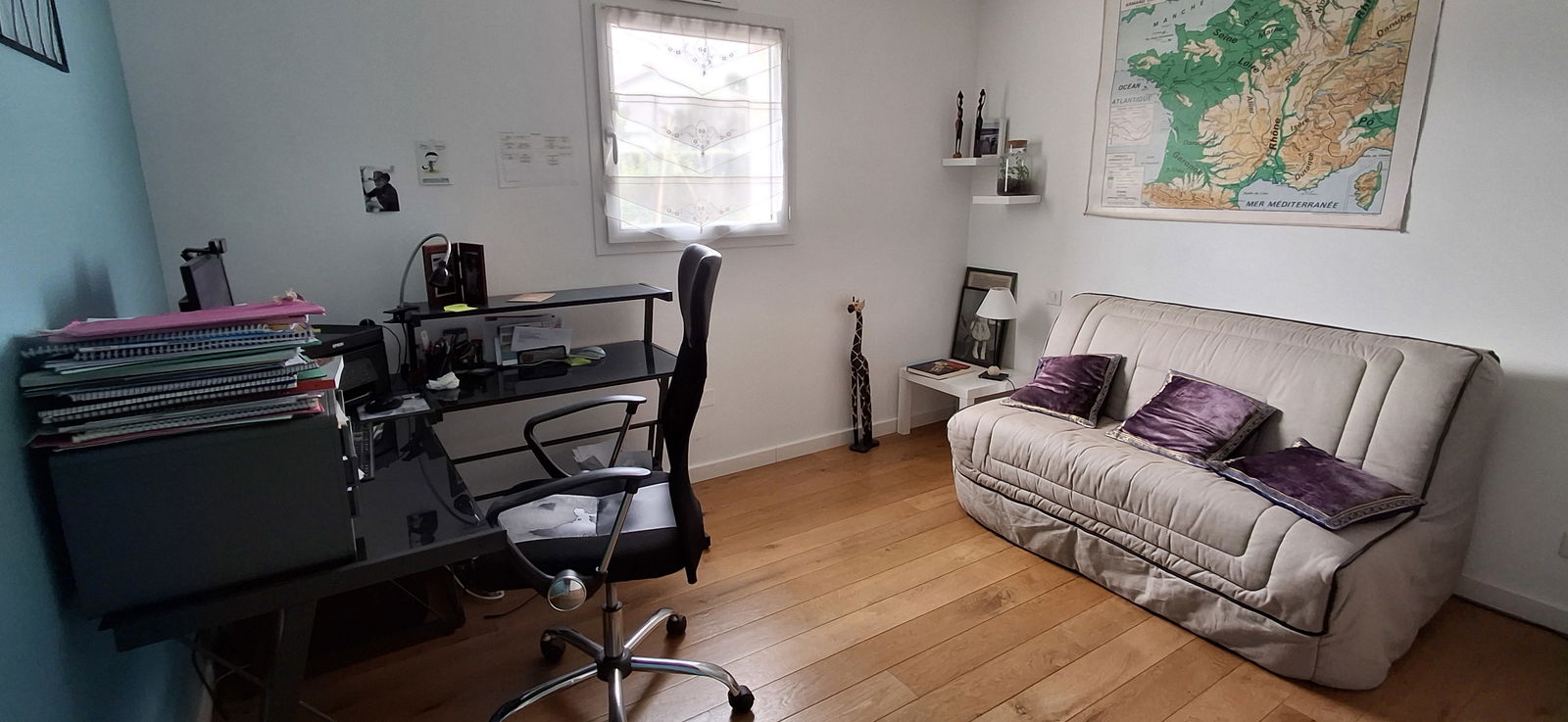 Kolokasie Pompaire 539552