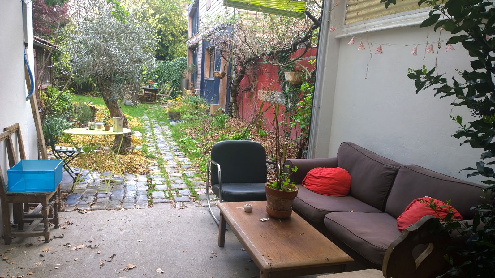 Kolokasie Bagnolet 131144