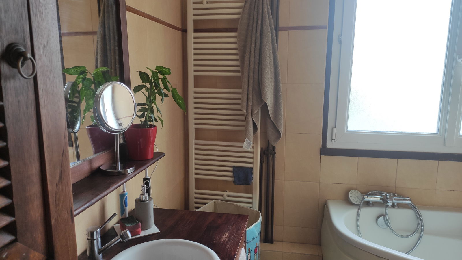 Kolokasie Clamart 262294