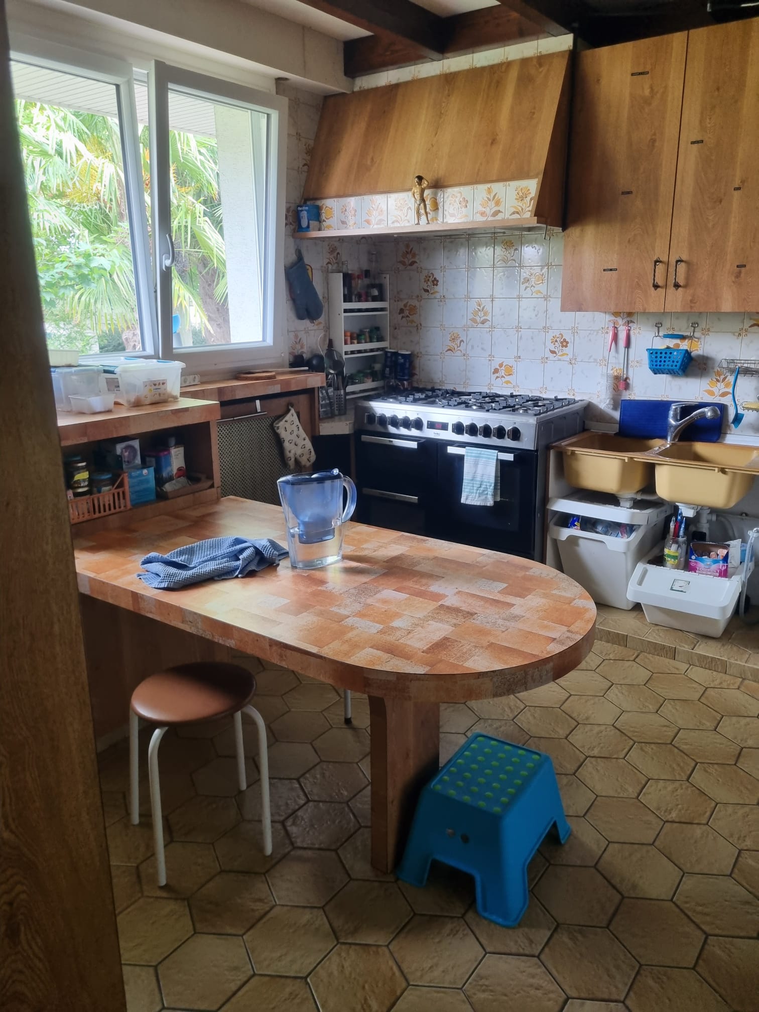 Kolokasie Carrières-sur-Seine 404750