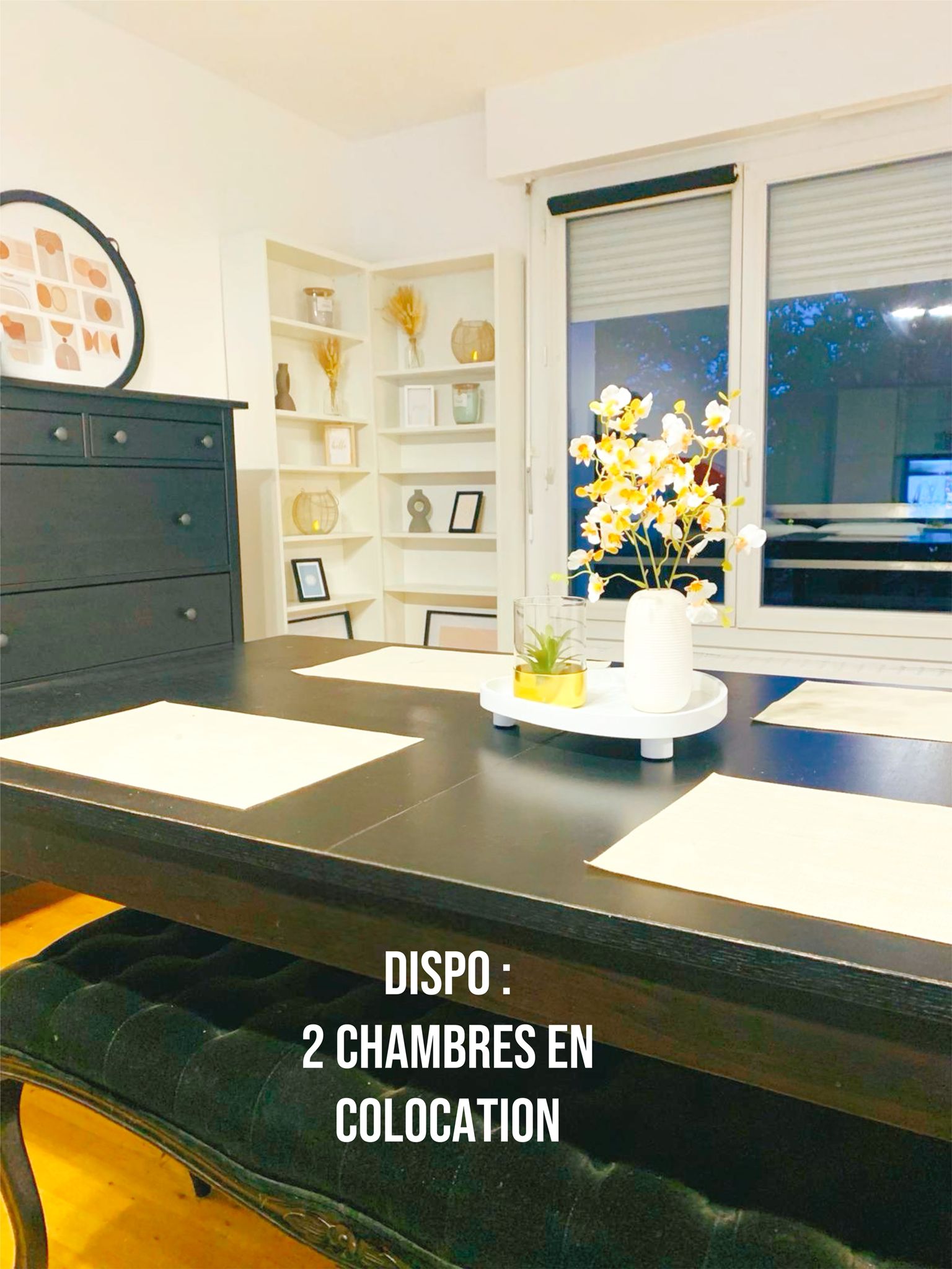 Gedeelde Woning Saint-Genis-Pouilly 676707