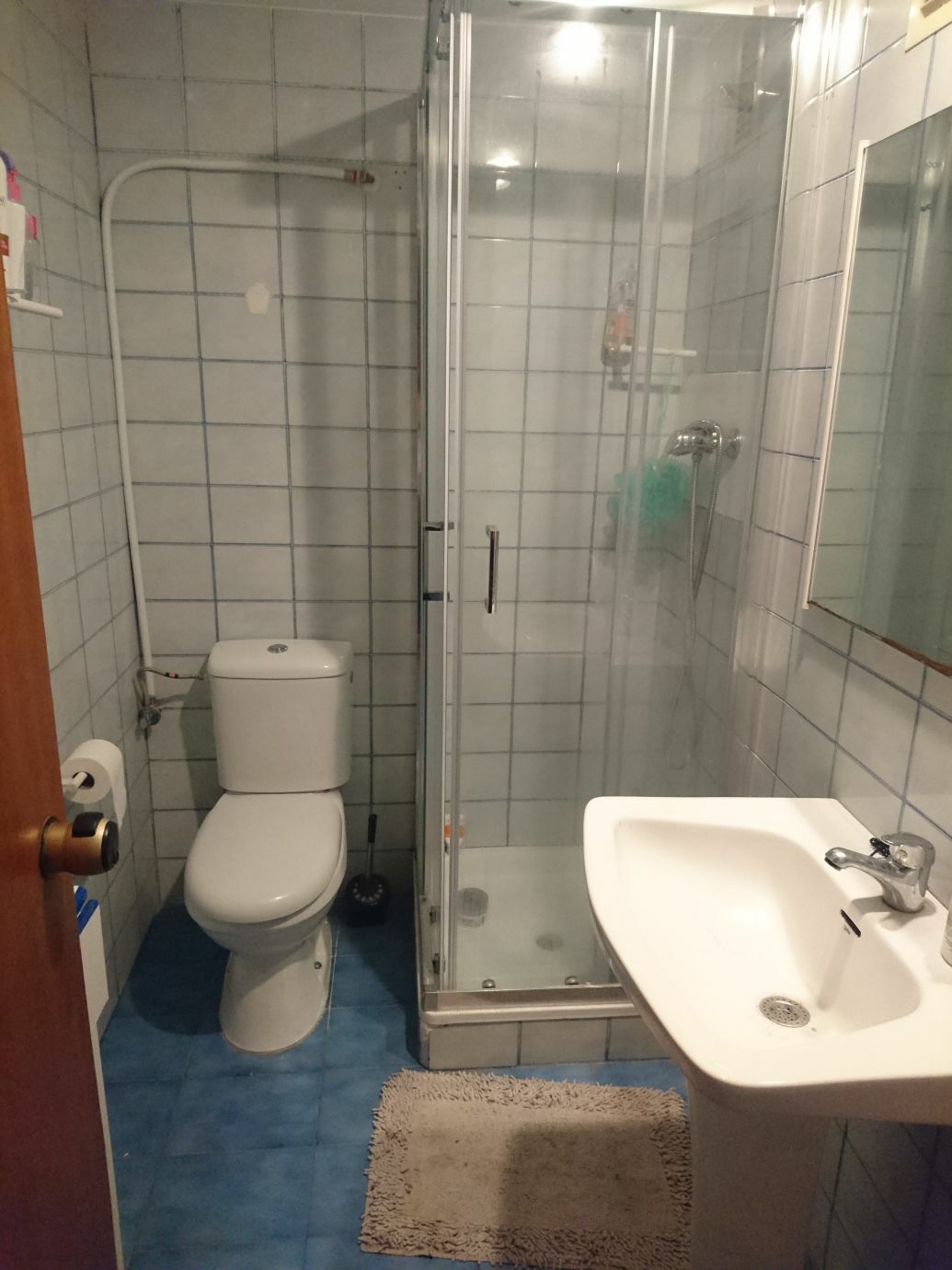 Kolokasie València 176892