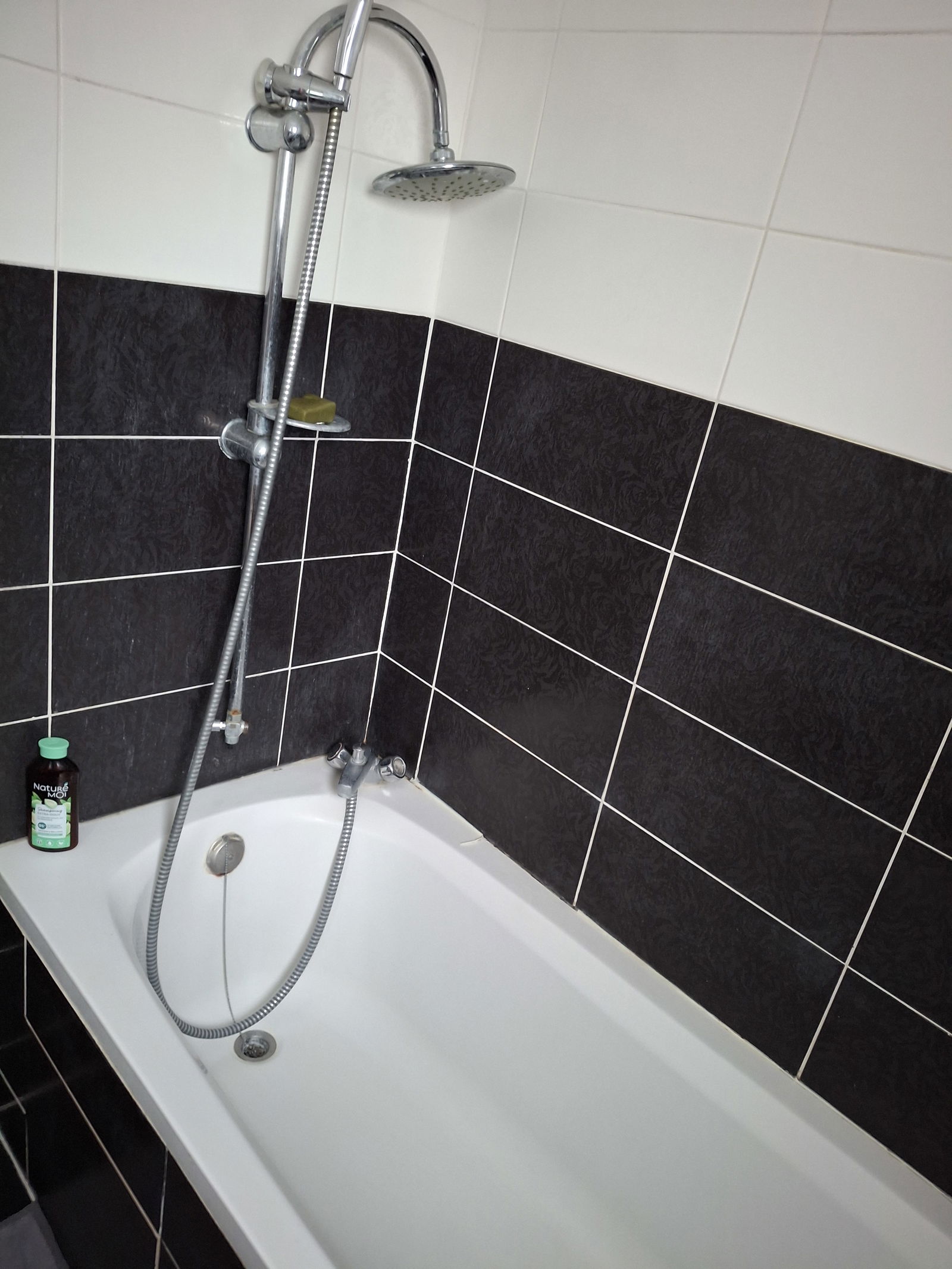 Colocatie Montreuil 453893