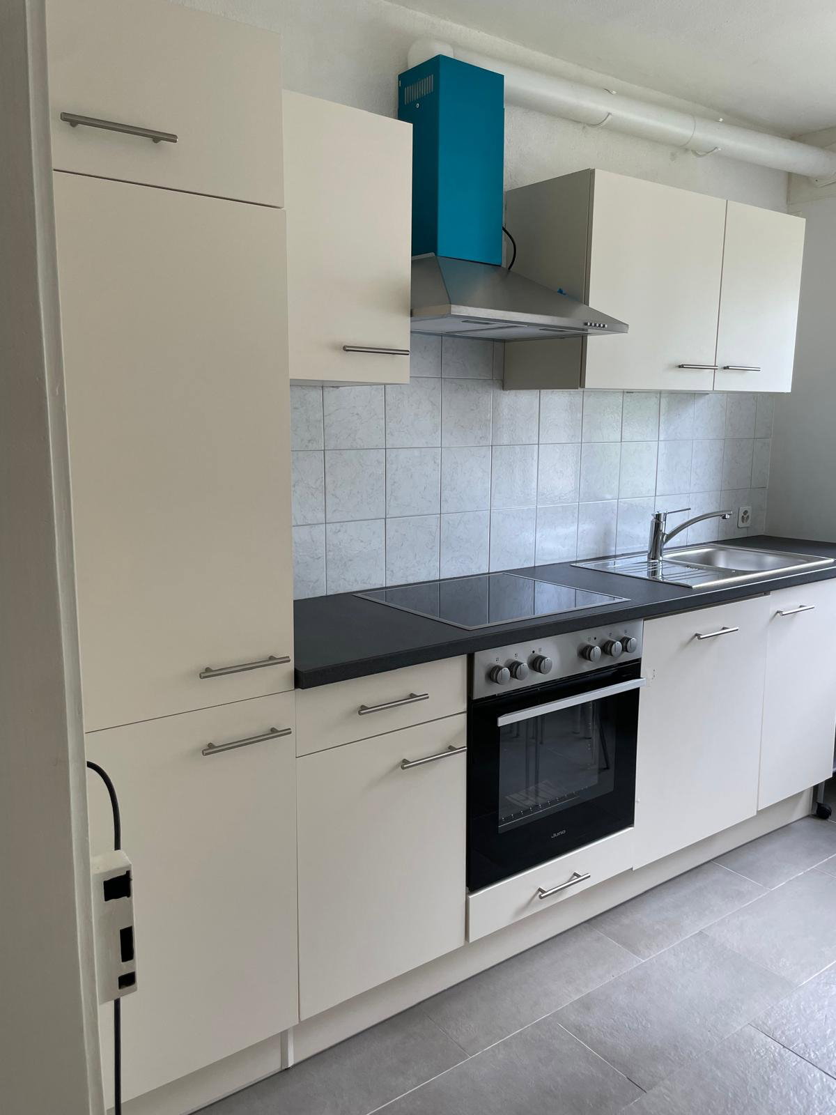 Kolokasie Zürich 659006